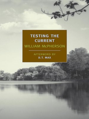 cover image of Testing the Current